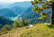 Eğlenceli ve Eğlenceli: Türkiye’nin En İyi Doğa Parkları ve Popüler Kültürü Fun and Fun: Turkey's Best Nature Parks and Popular Culture