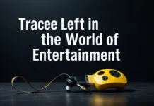 Eğlencenin Dünyasında Kalan İzler: Sinema, Müzik ve Oyunlar Traces Left in the World of Entertainment: Cinema, Music, and Games